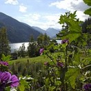 natur natur
