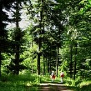natur natur