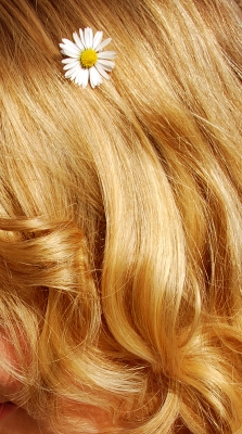 Die ultimative Anleitung für schönes Haar in den Wechseljahren - allgemein