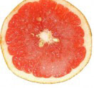 aha019_b_grapefruit aha019_b_grapefruit