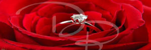 heiratsantrag
