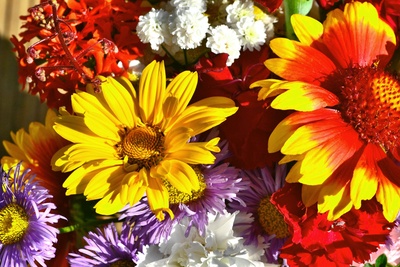 blumenstrauss2